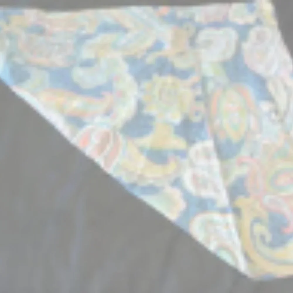 Pottery Barn Pillow Sham in Ana Paisley